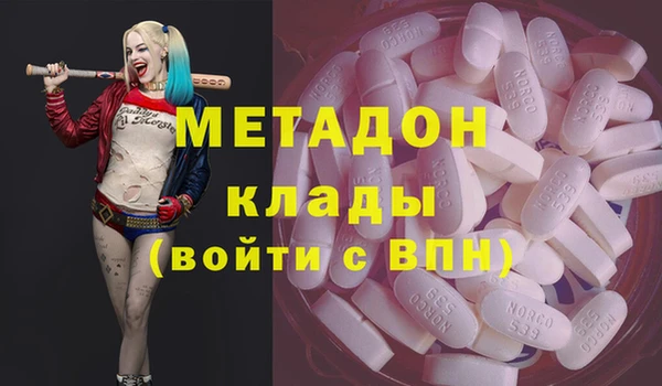 прущие грибы Алексеевка