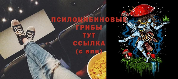 прущие грибы Алексеевка